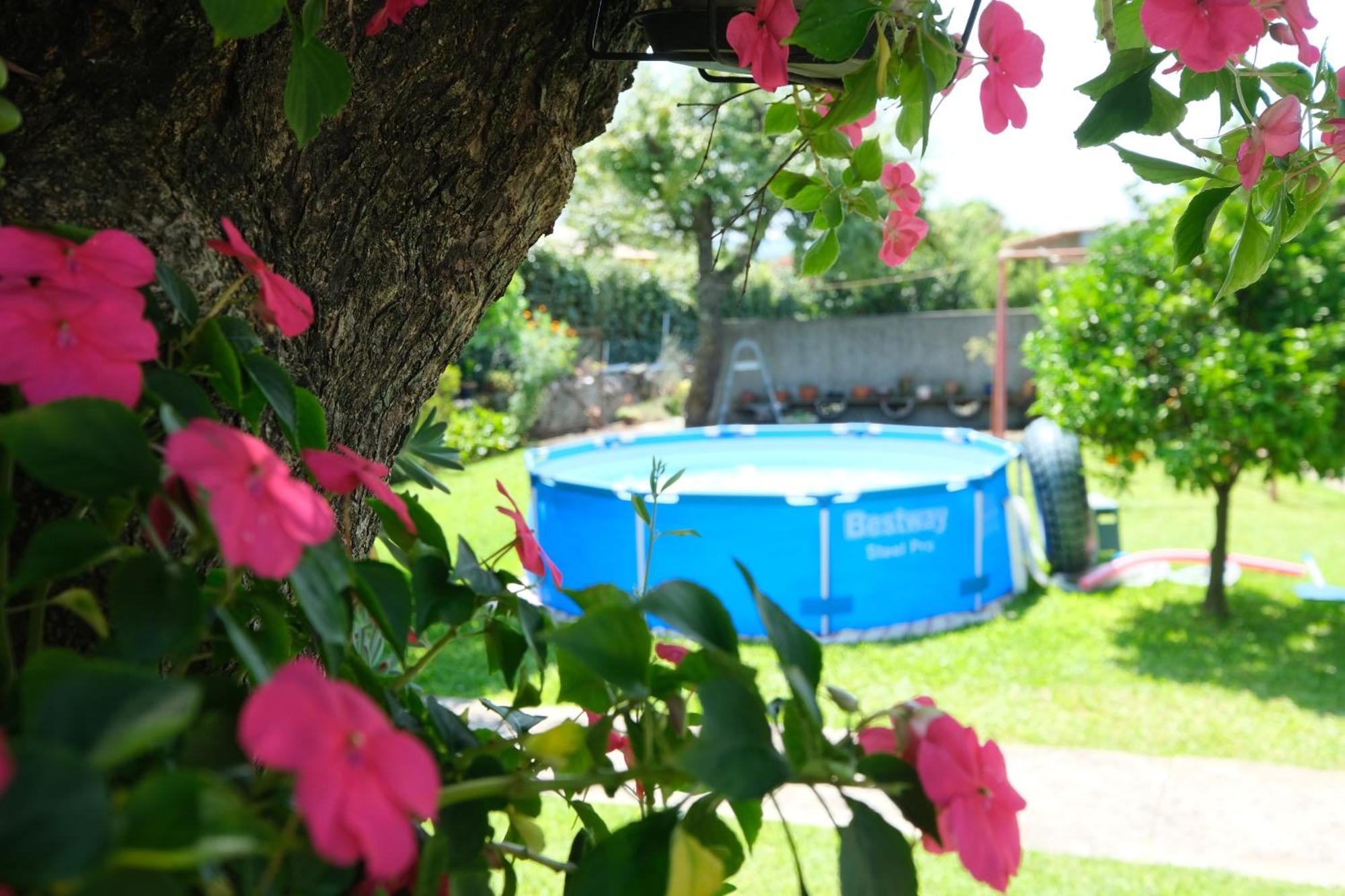 Quintinha D'Avo Bed & Breakfast Vila de Prado Exterior photo